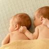 Самые многочисленные близнецы, рожденные за один раз Родила больше всех детей за жизнь