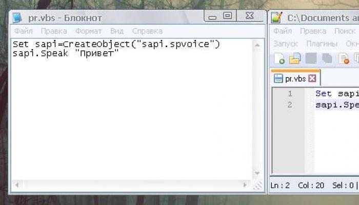 We write programs (scripts) in Windows Notepad
